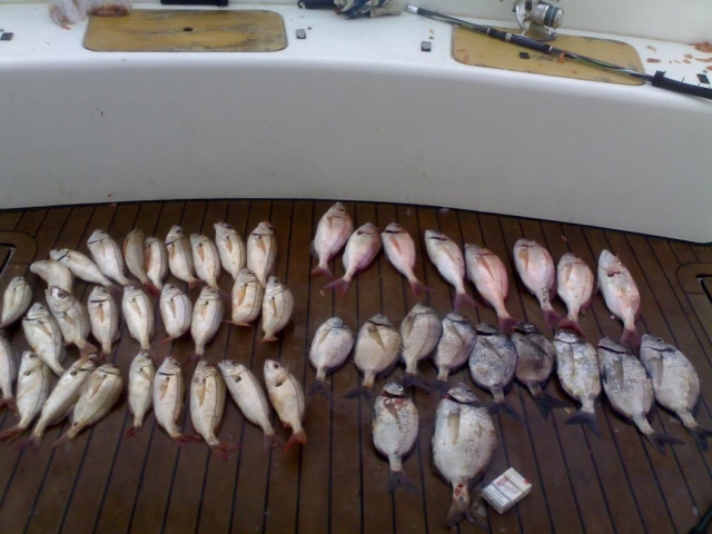  Pescare dopo la giornata di pesca 